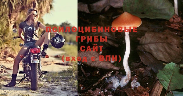 спиды Иннополис