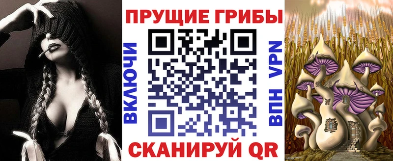 Псилоцибиновые грибы MAGIC MUSHROOMS  Исилькуль 